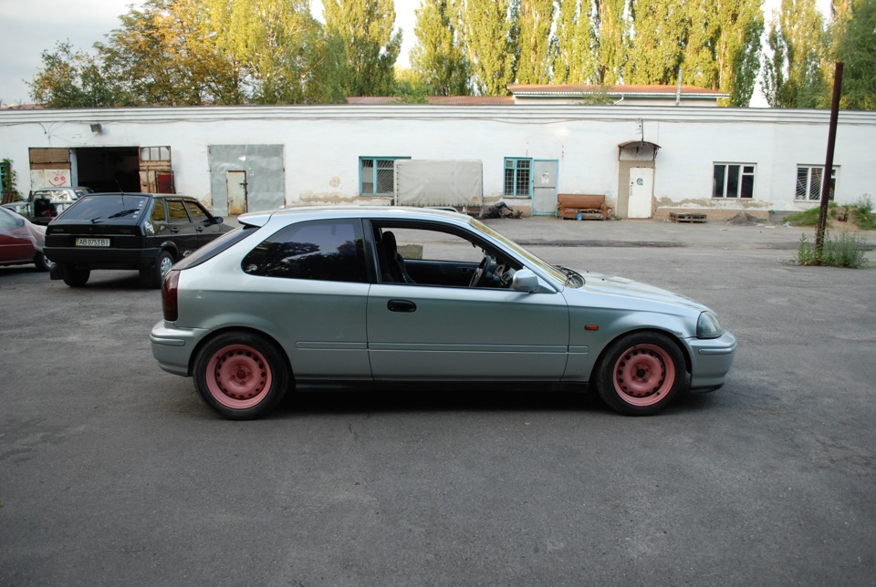 пару свіжих фото 2