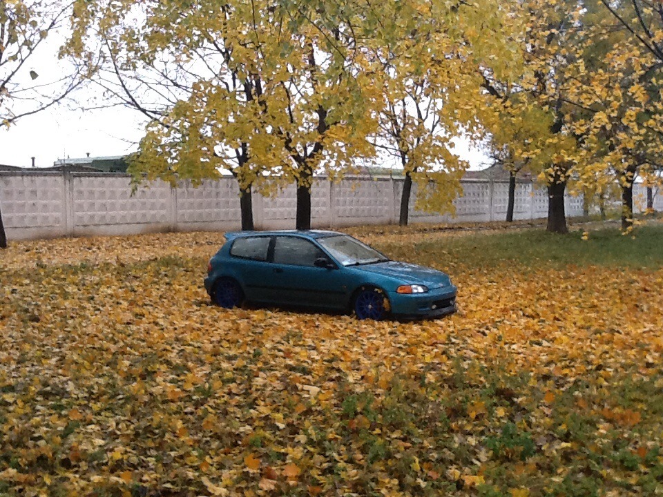 Маленькі зміни 5