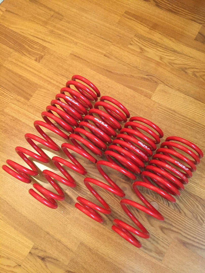 Skunk2 Lowered Spring 9/5kg*cm. 1