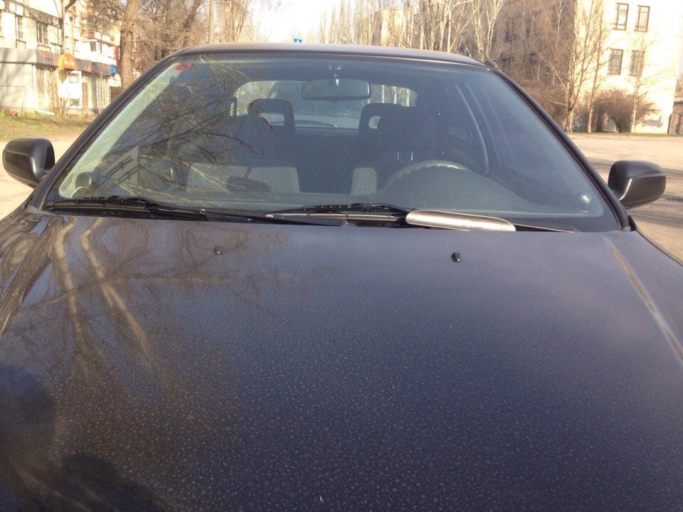 Тонировка 4