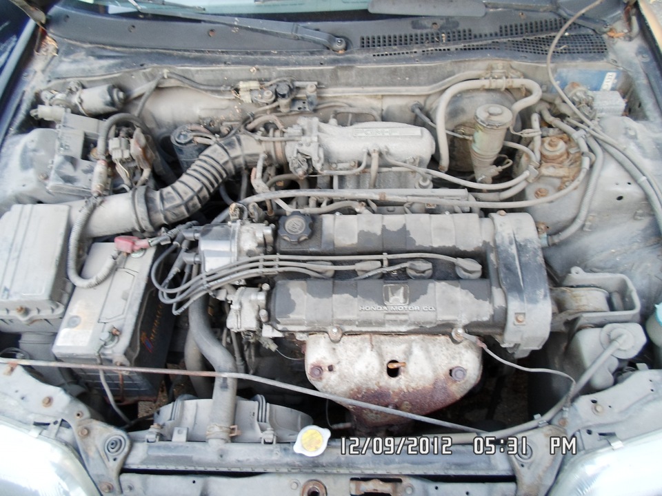 D16Z5 1590 124 DOHC CRX 89/91 1
