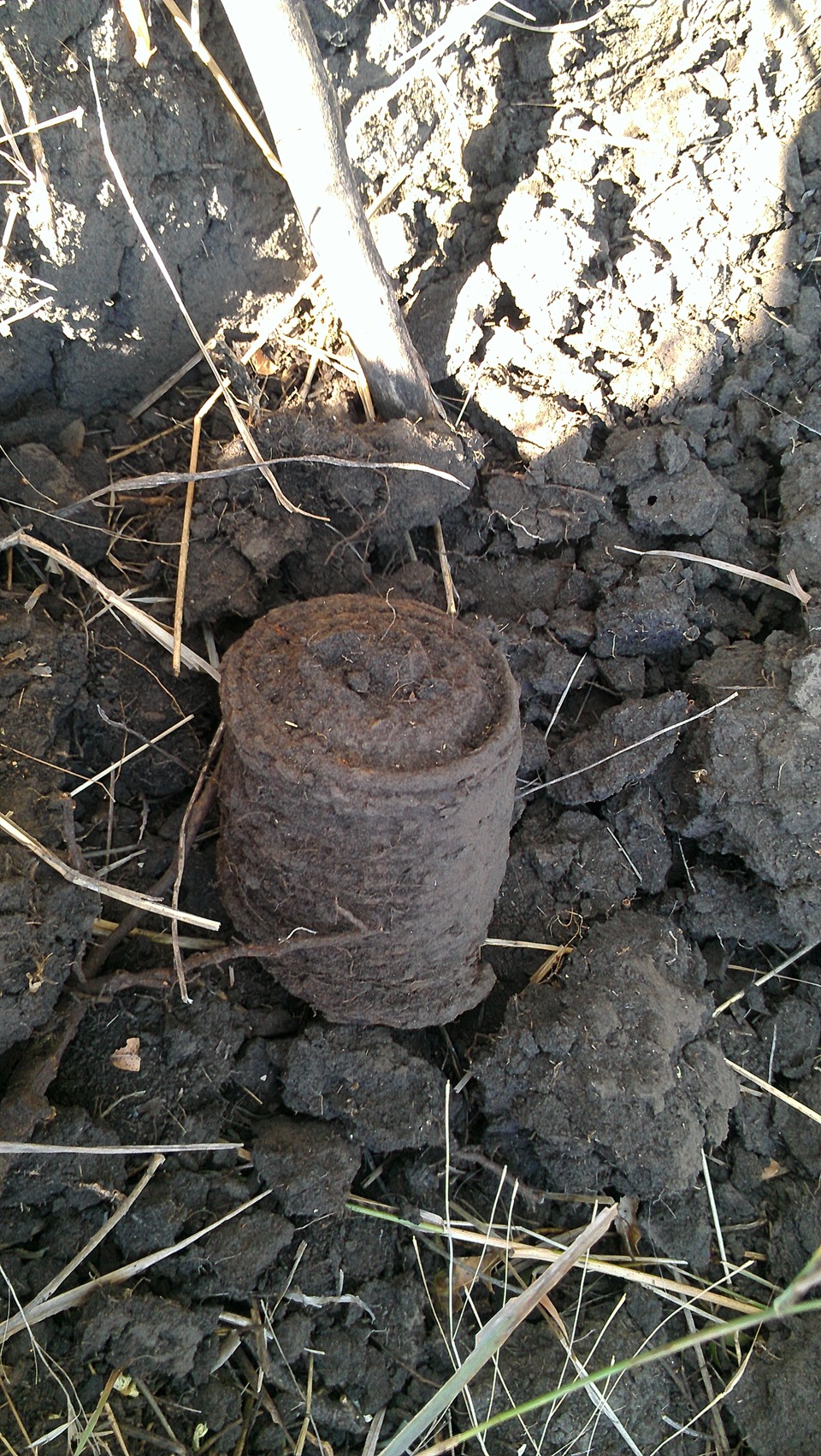 Далі поганяти металошукач... ось що нарив. 2
