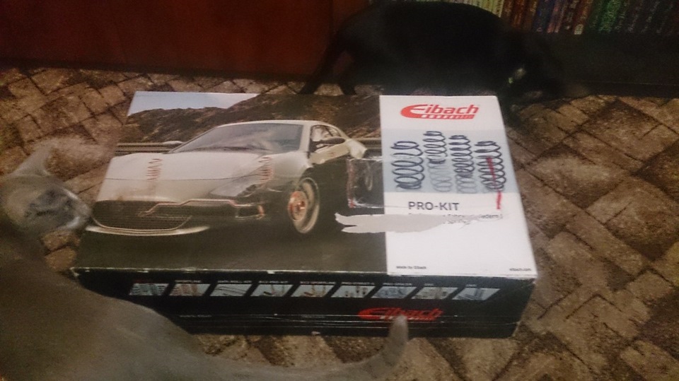 Eibach Pro Kit -25 1