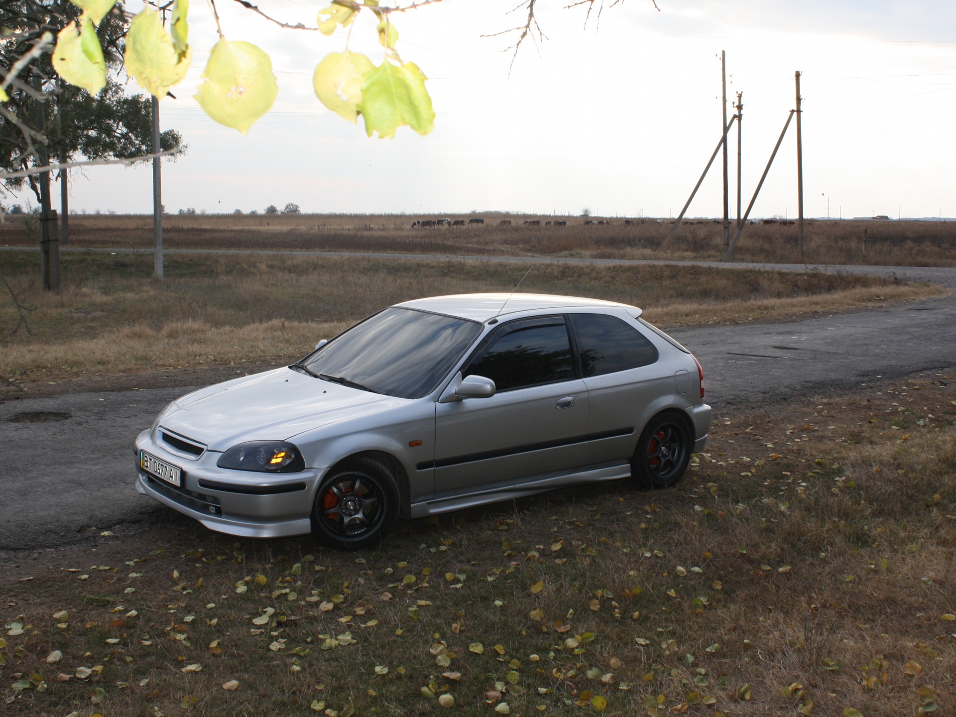 аматорський фотосет!) 5