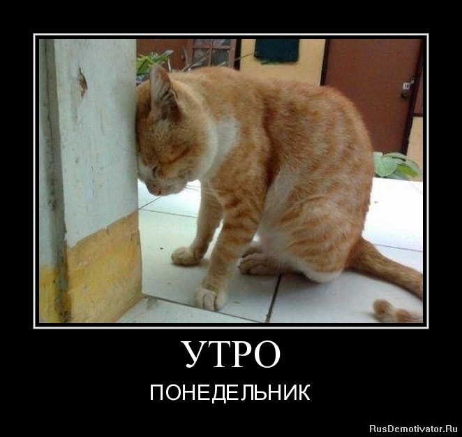 Мінусовий розвал, аеєє! 2