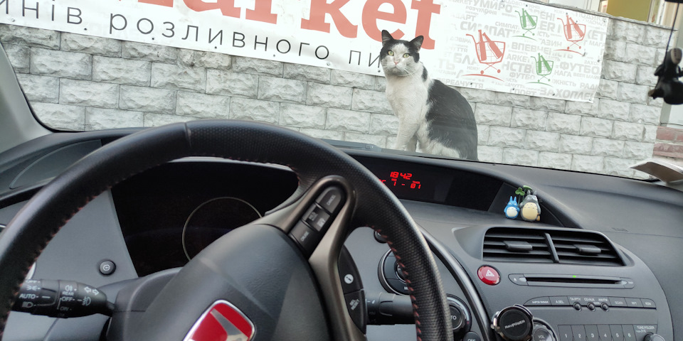 Покупка Type R FN2 3