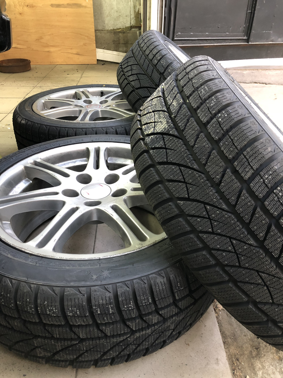 Evergreen EW66 зима 3