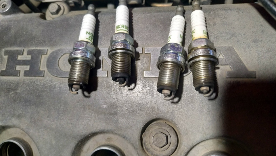 Масложор D14Z2 1