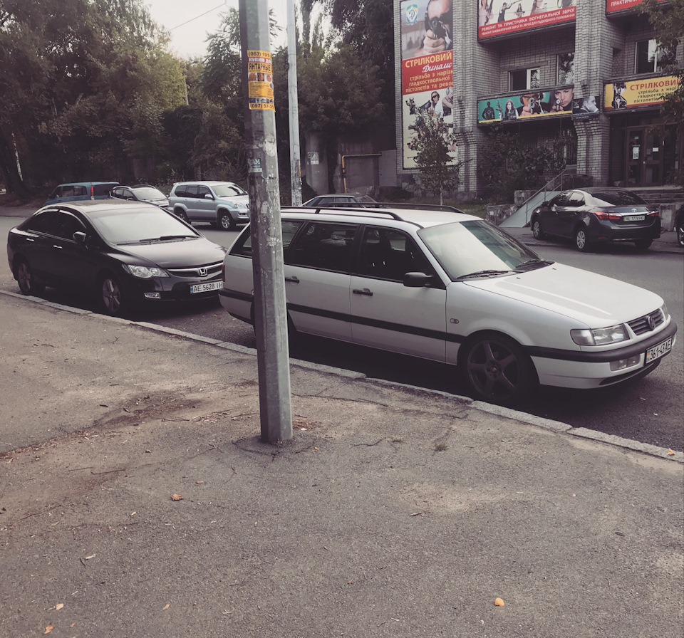Фото сивки 5