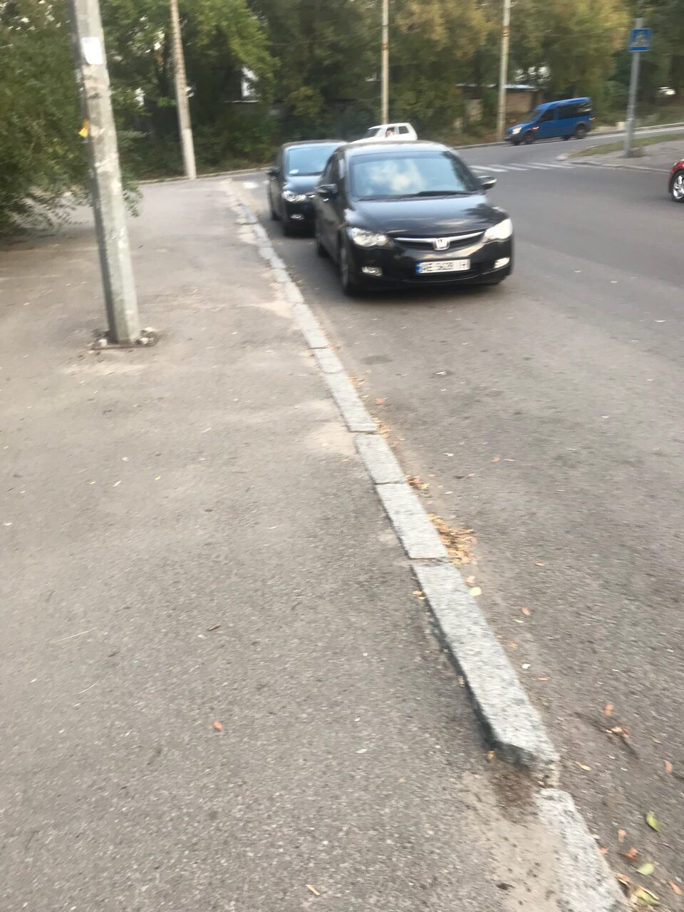 Фото сивки 4