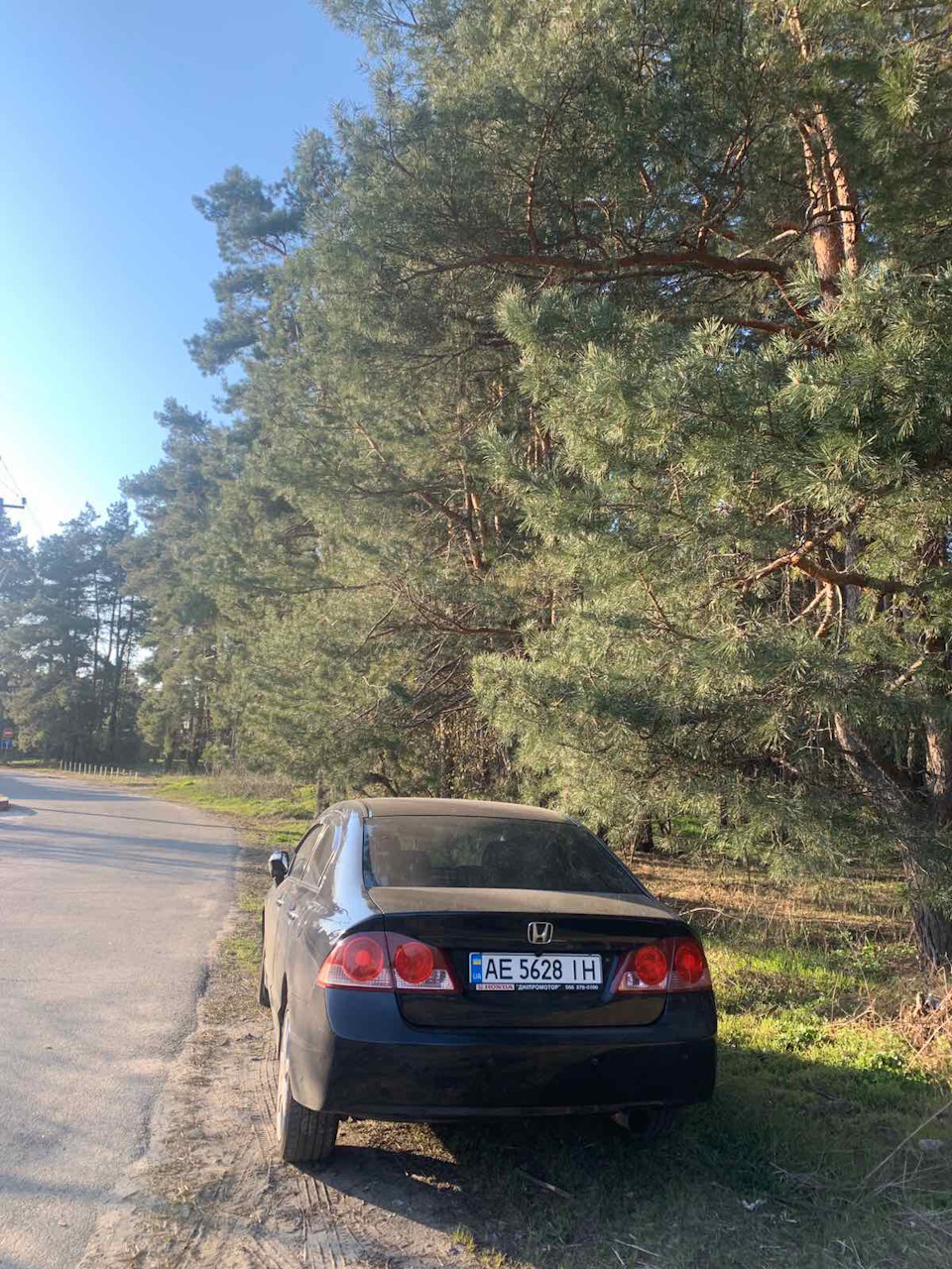 Весна і трохи фоток 3
