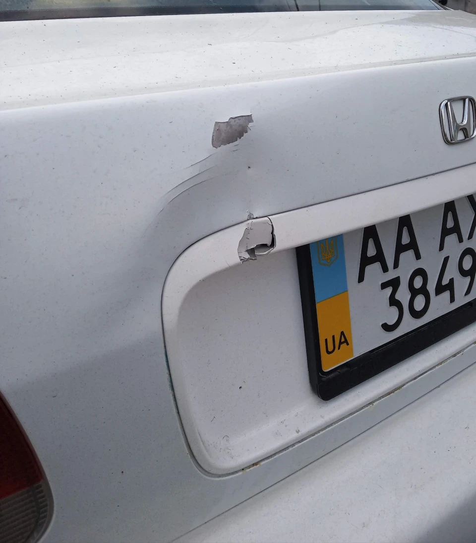 Заміна та шейвінг багажника