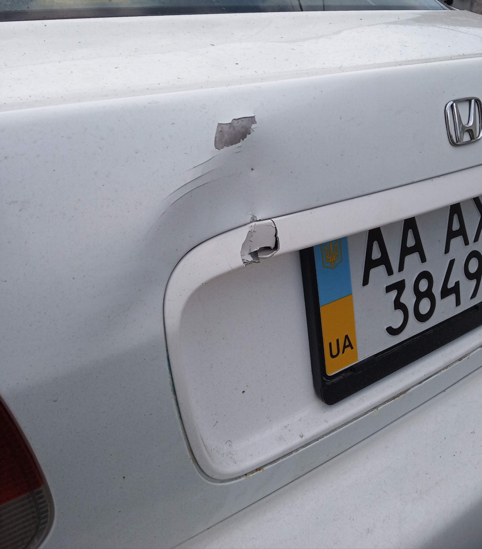 Заміна та шейвінг багажника 1