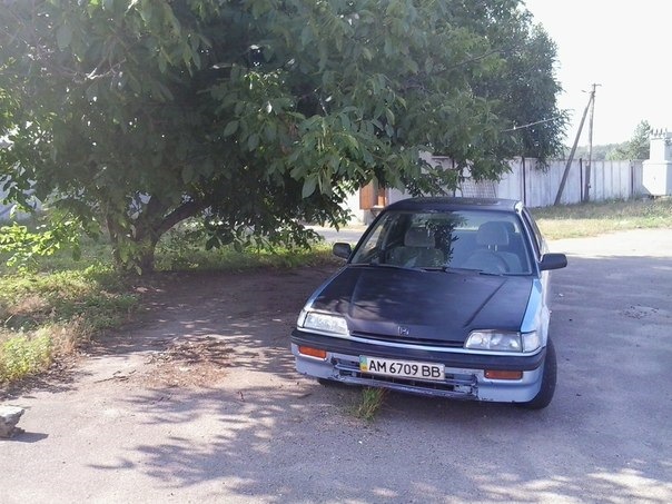 Ожила після ДТП 1