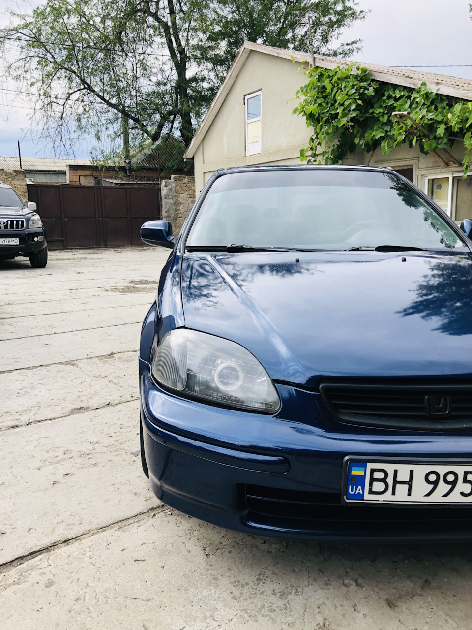 Фарбування 2