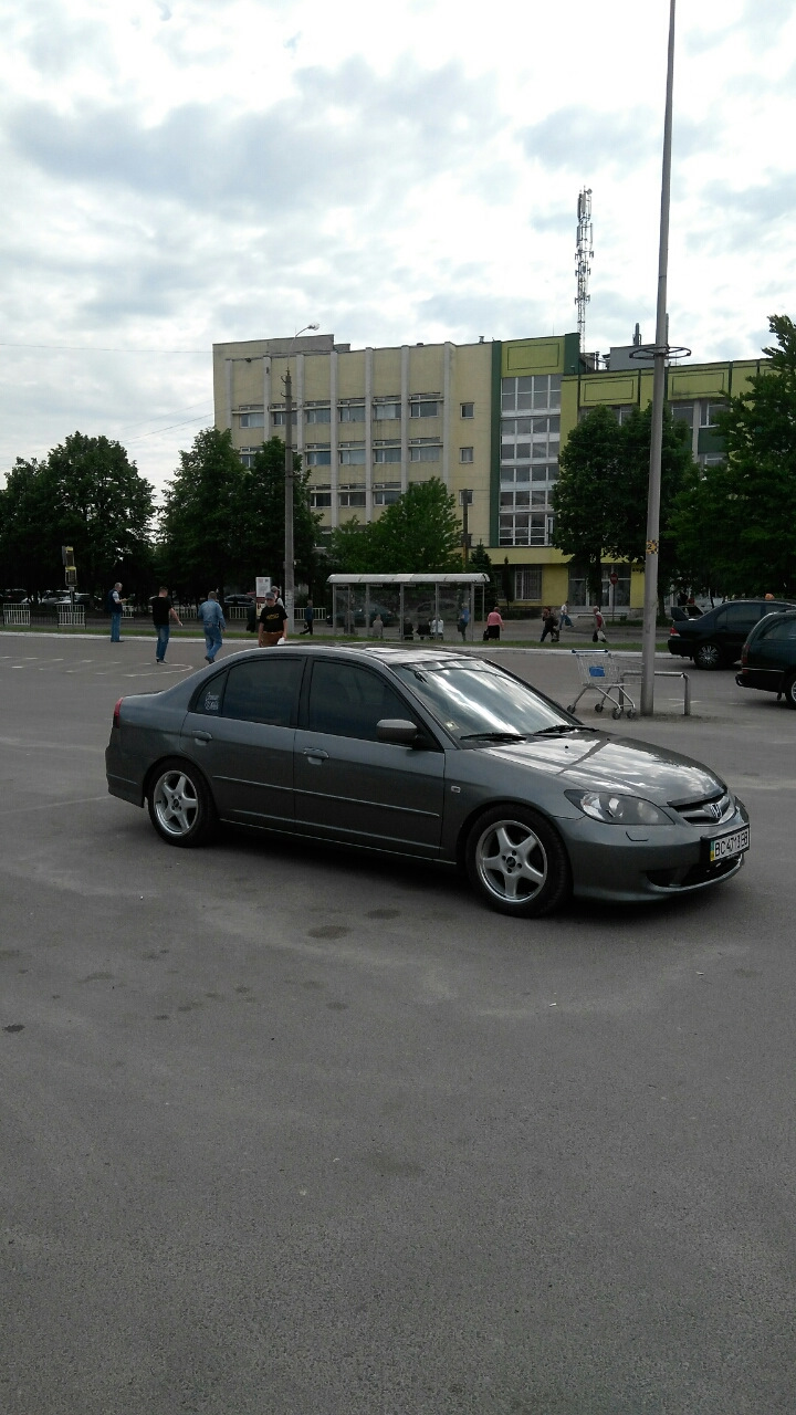 Polish Alluet 1