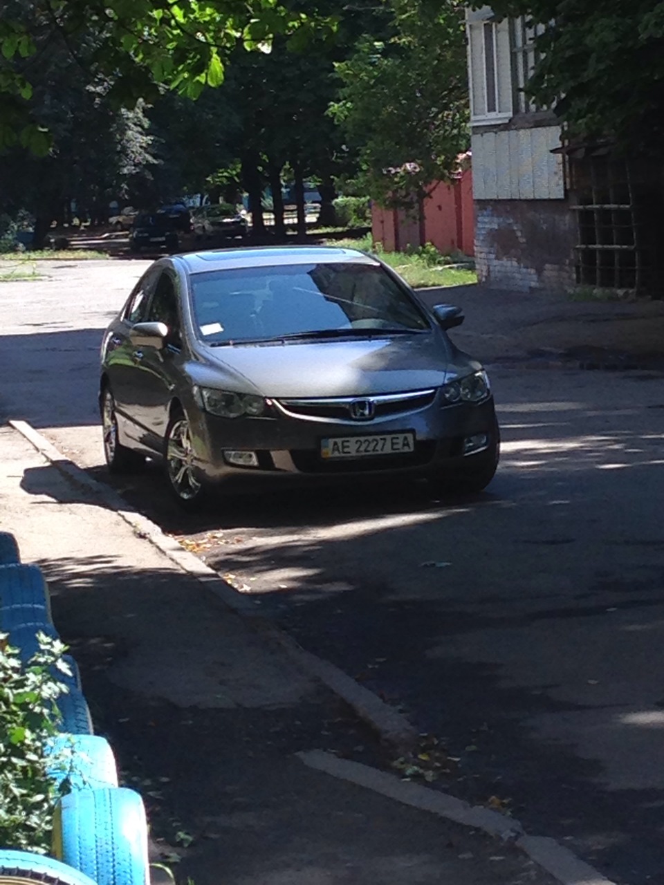 Просто так чи вдалий кадр 3