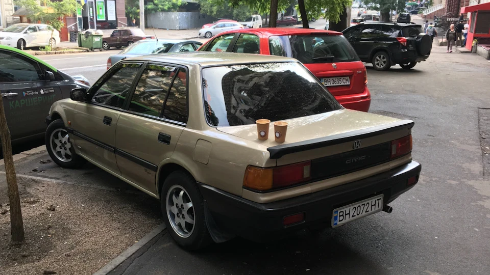 Тапочки
