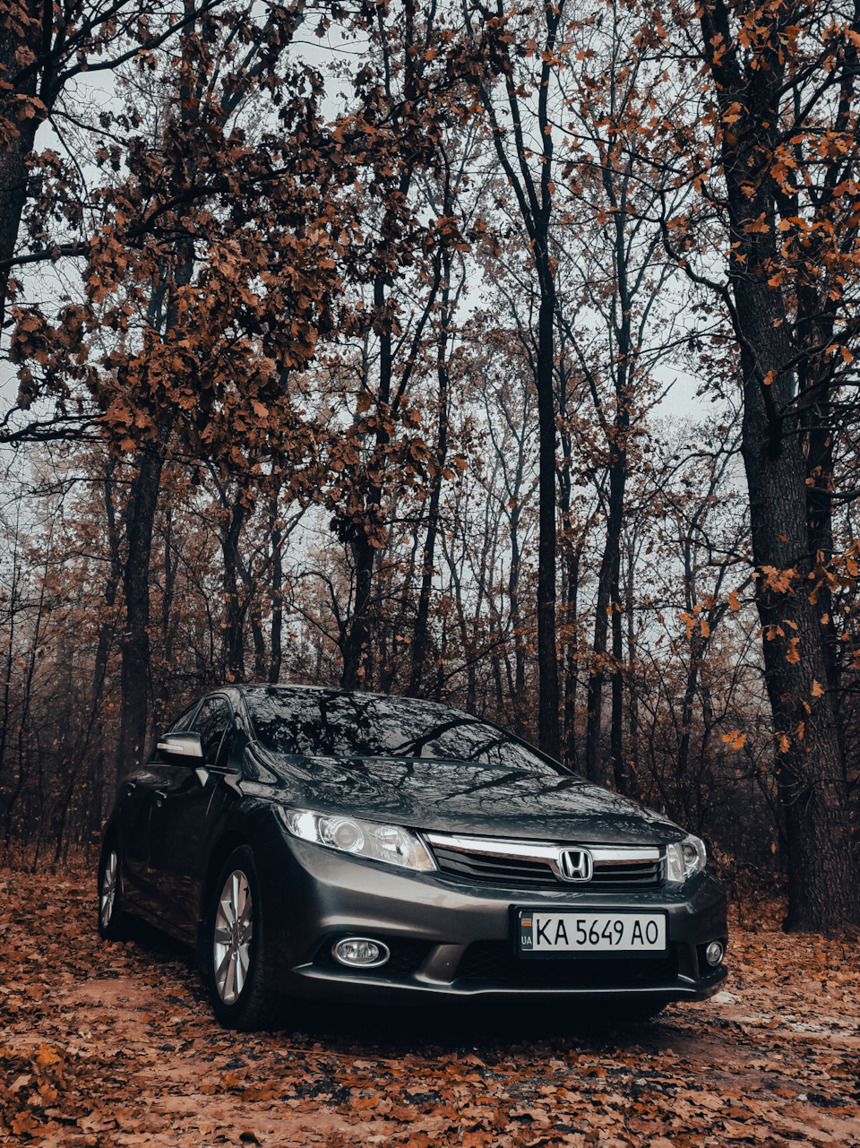 Просто фоточки 5