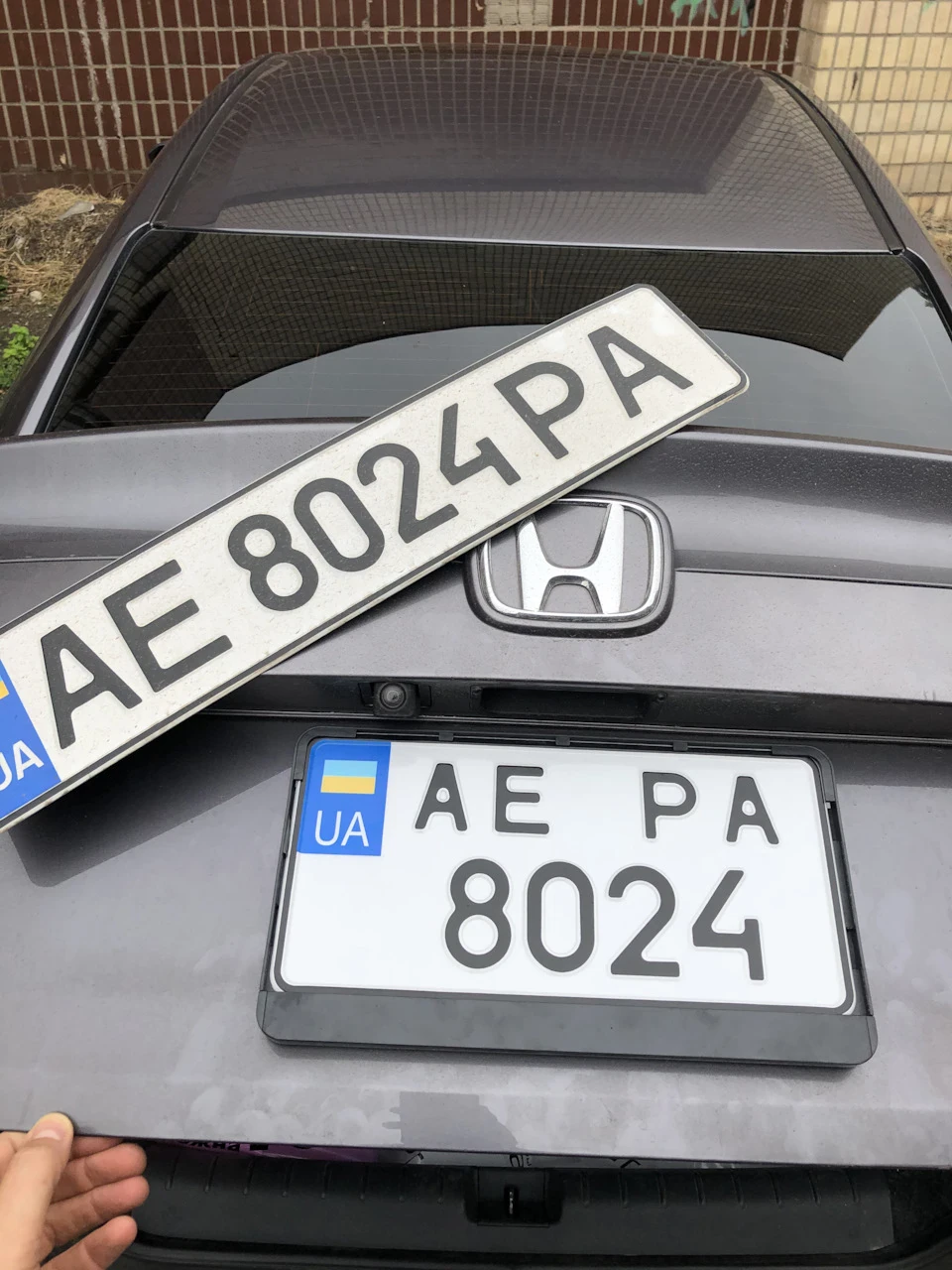 Все у своїх отворах та розмірах ☝️