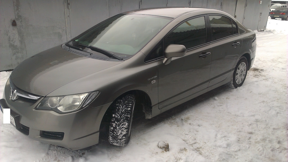 Продаю свою сивку 4