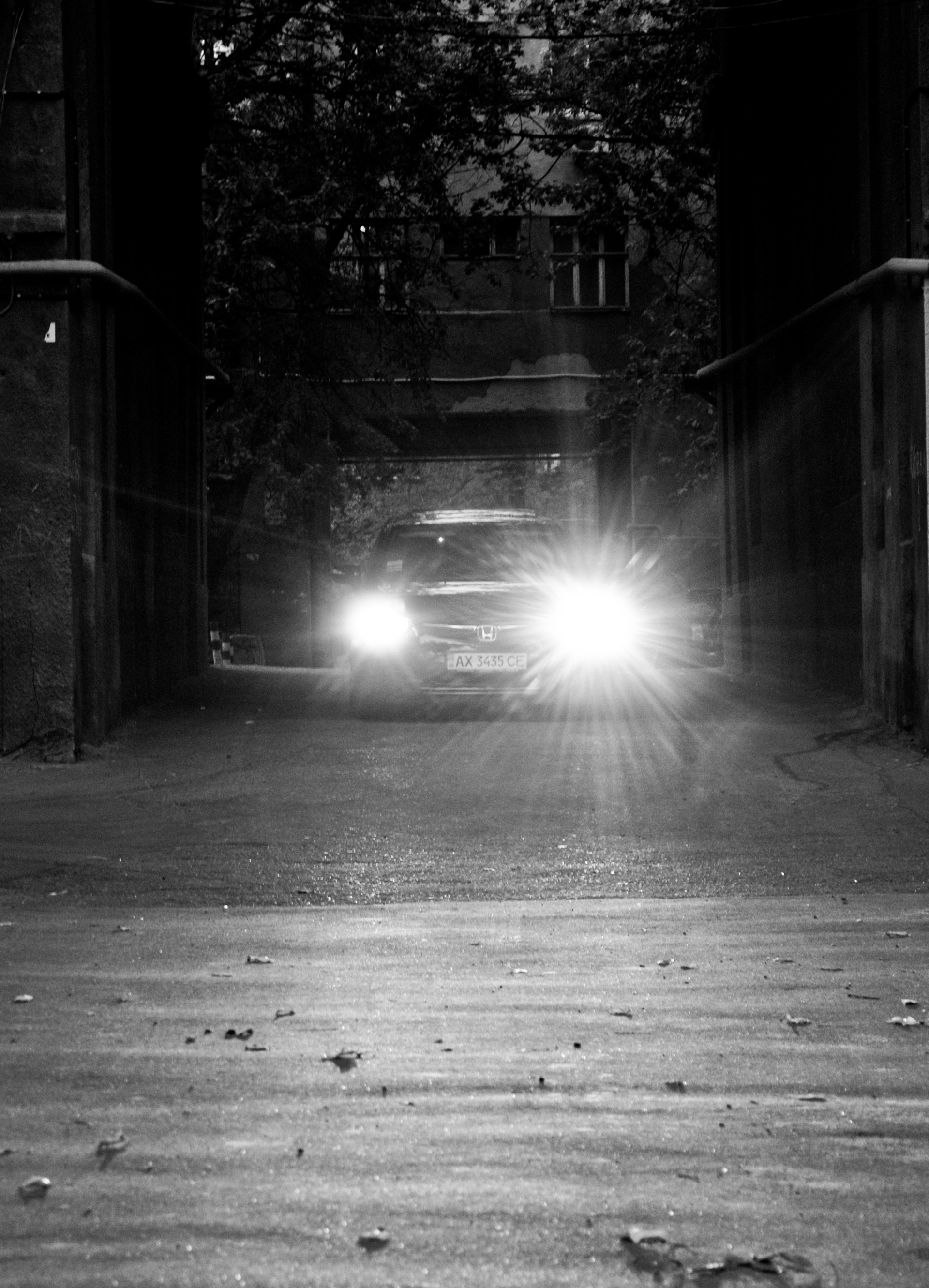 Night life | Нічний фотосет 5
