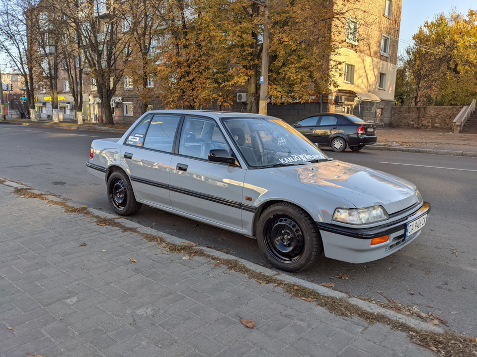 Фарбування позаду 3