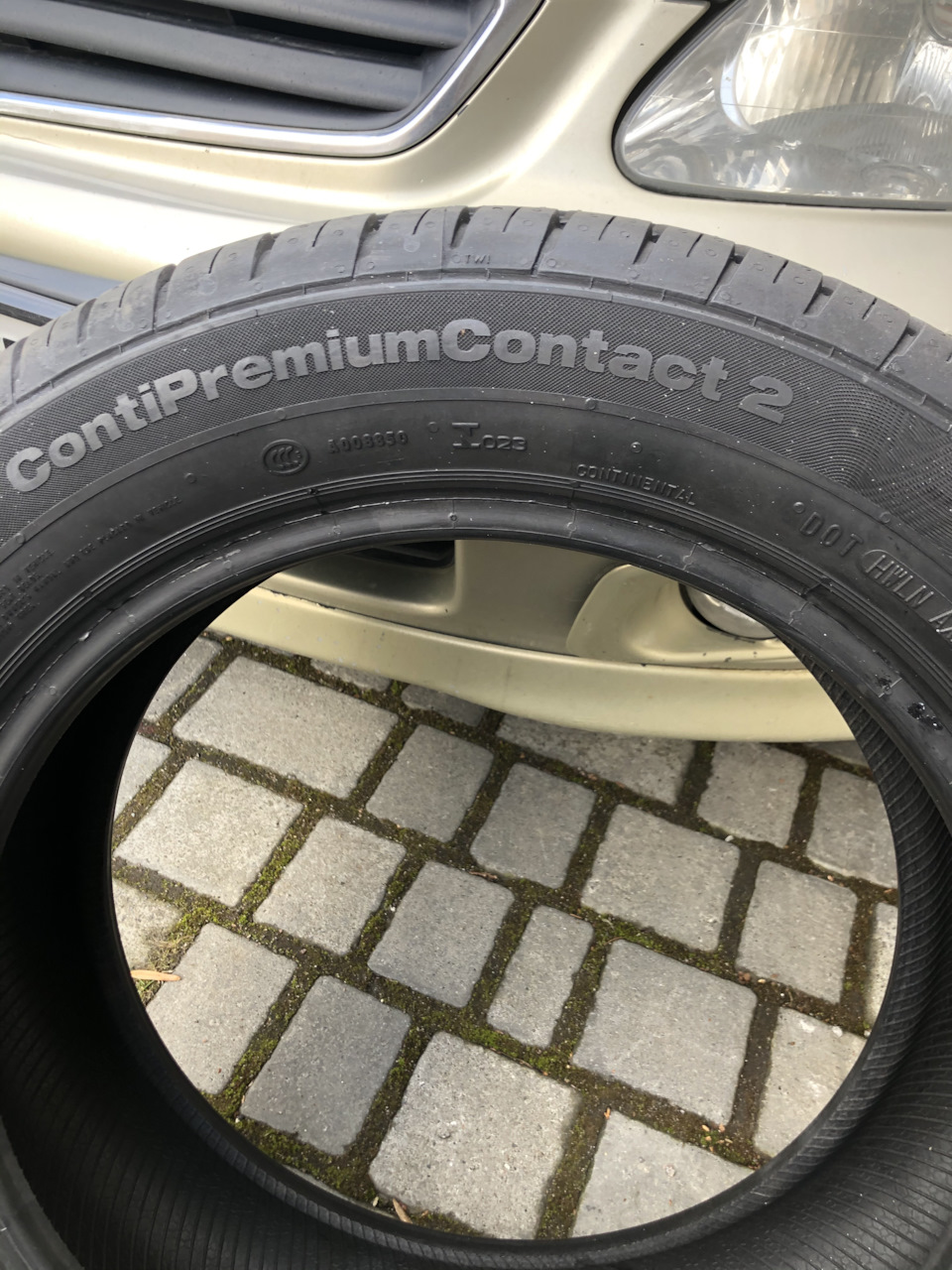 Літо з Continental 2