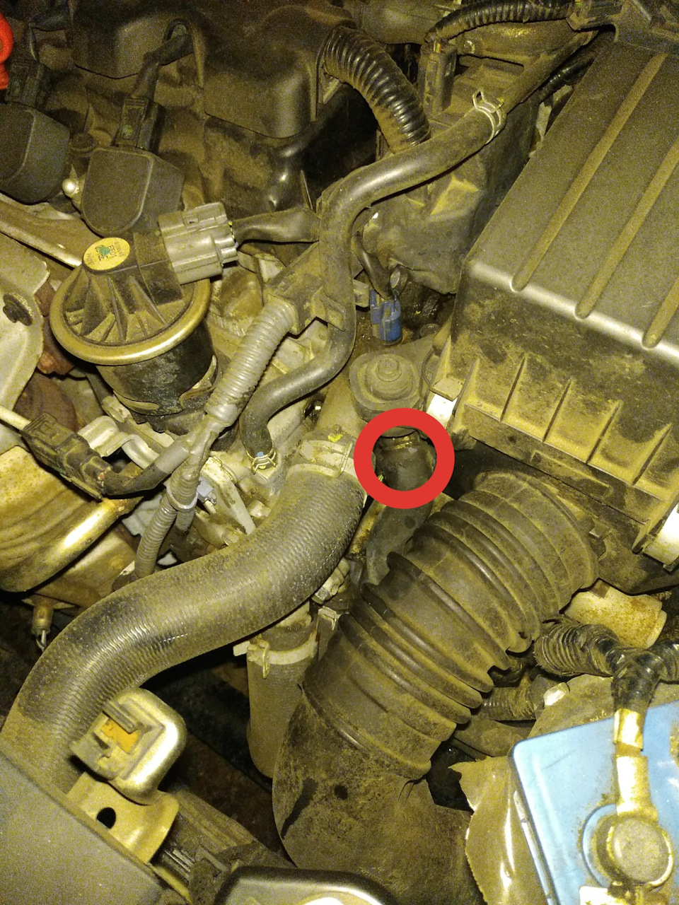 Антифриз hepu в honda civic 4d 1