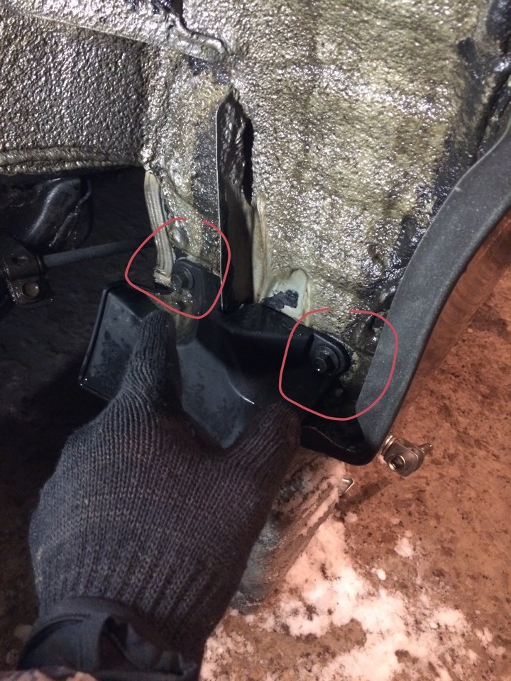 Задні підкрилки 4