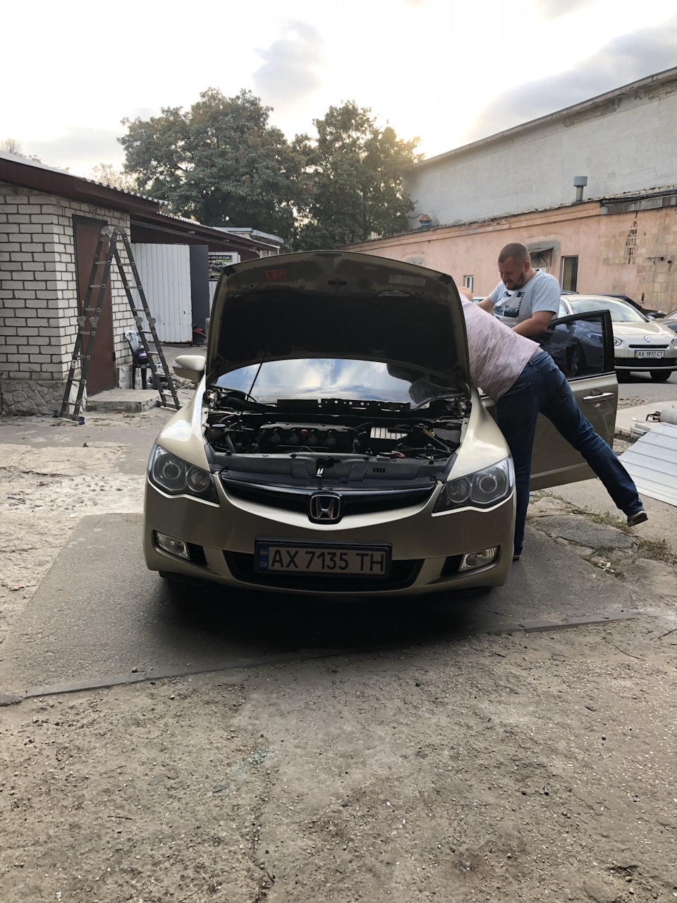 Заміна лобового + хвороба іржа 2