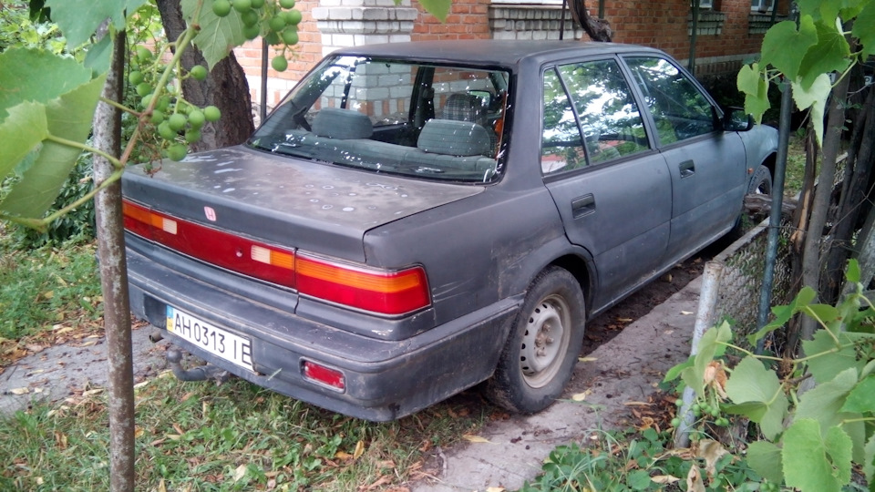 Ріалтайм 5