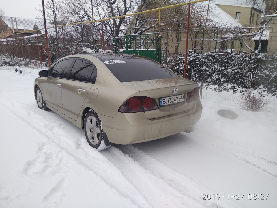 Фарбування дупи. краще пізно ніж ніколи 2