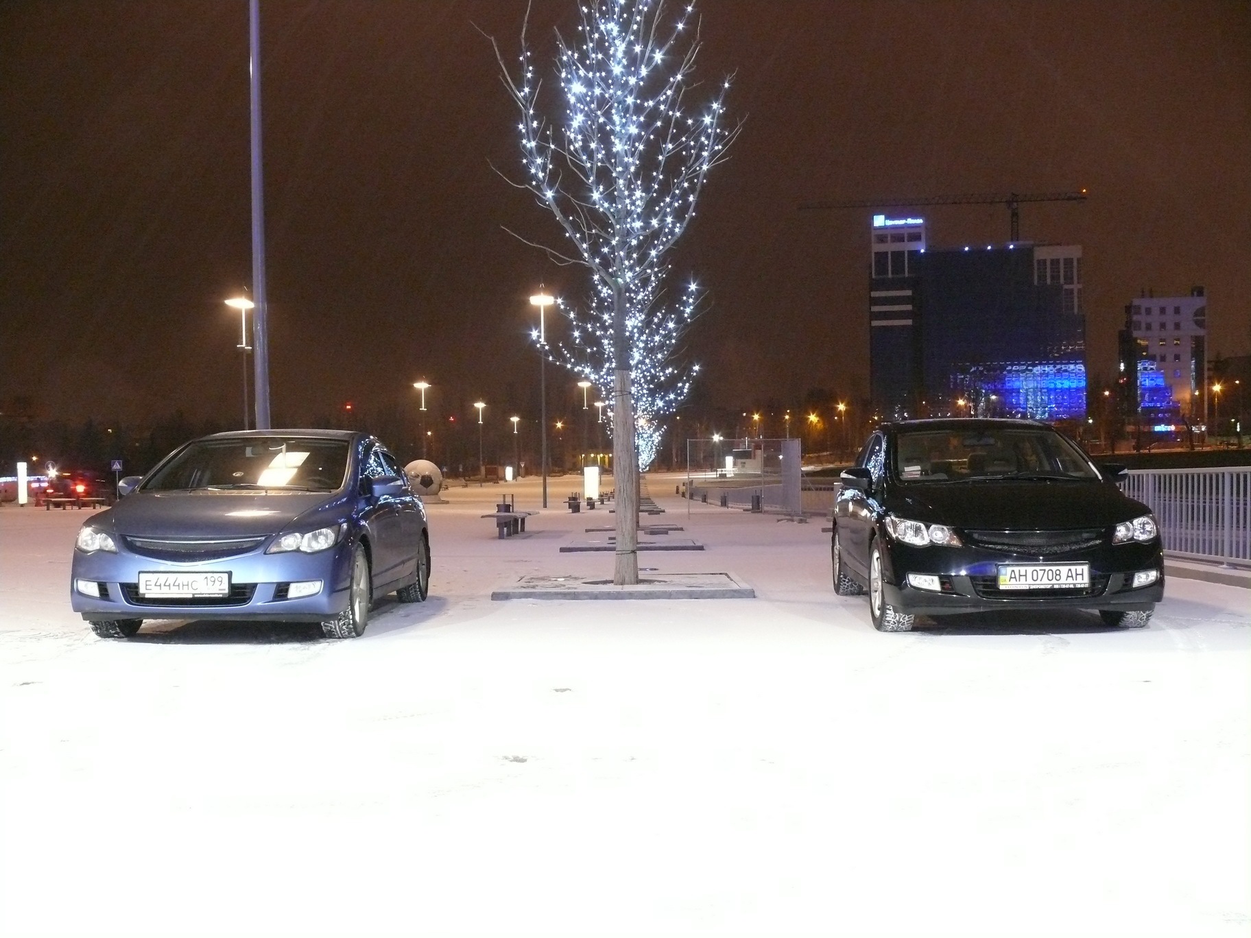 Новорічна фото сесія двох сівок 1