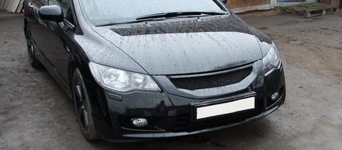 Як вам такий ескіз ґрат? 3