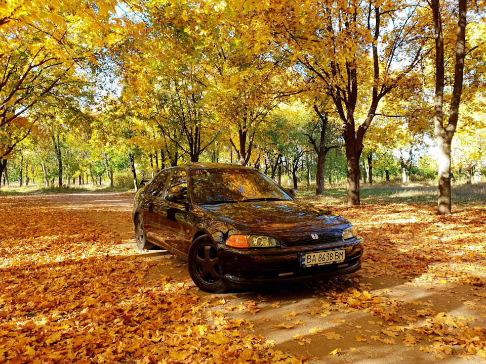 Вирішив влаштувати міні-фотосет) 5