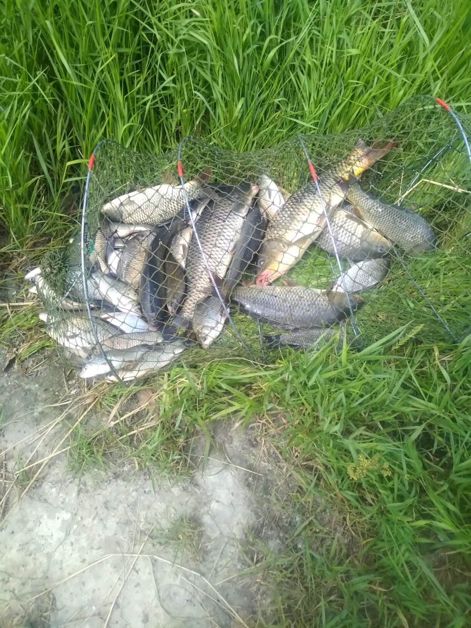 Заміна акумулятора 3