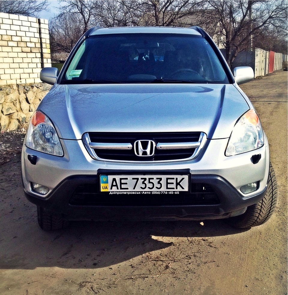 У всій красі!) 5