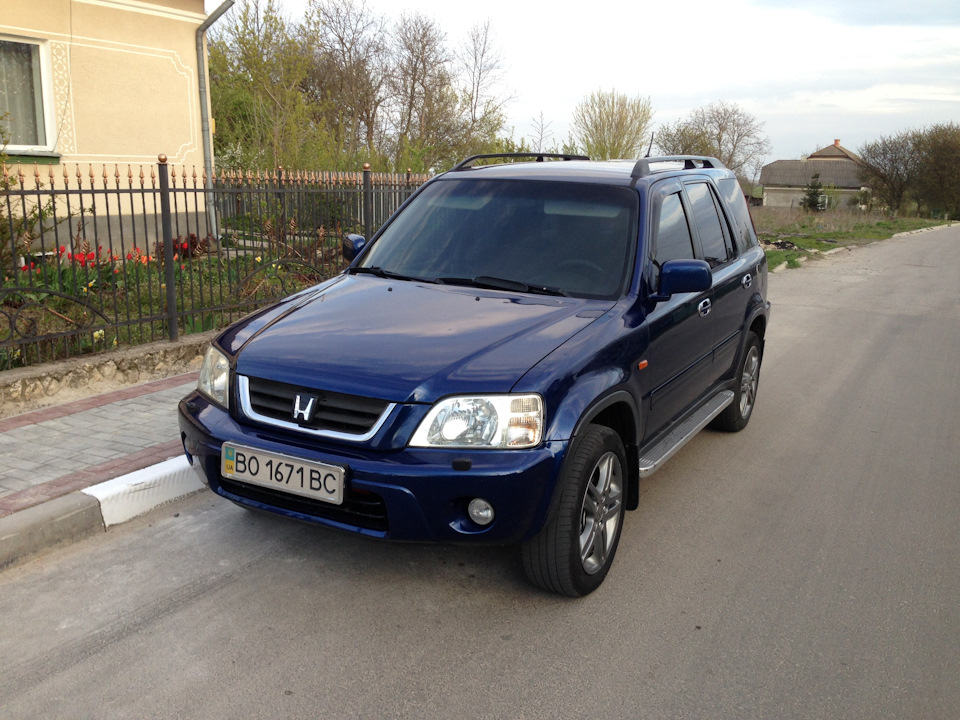 Нові тапки 1