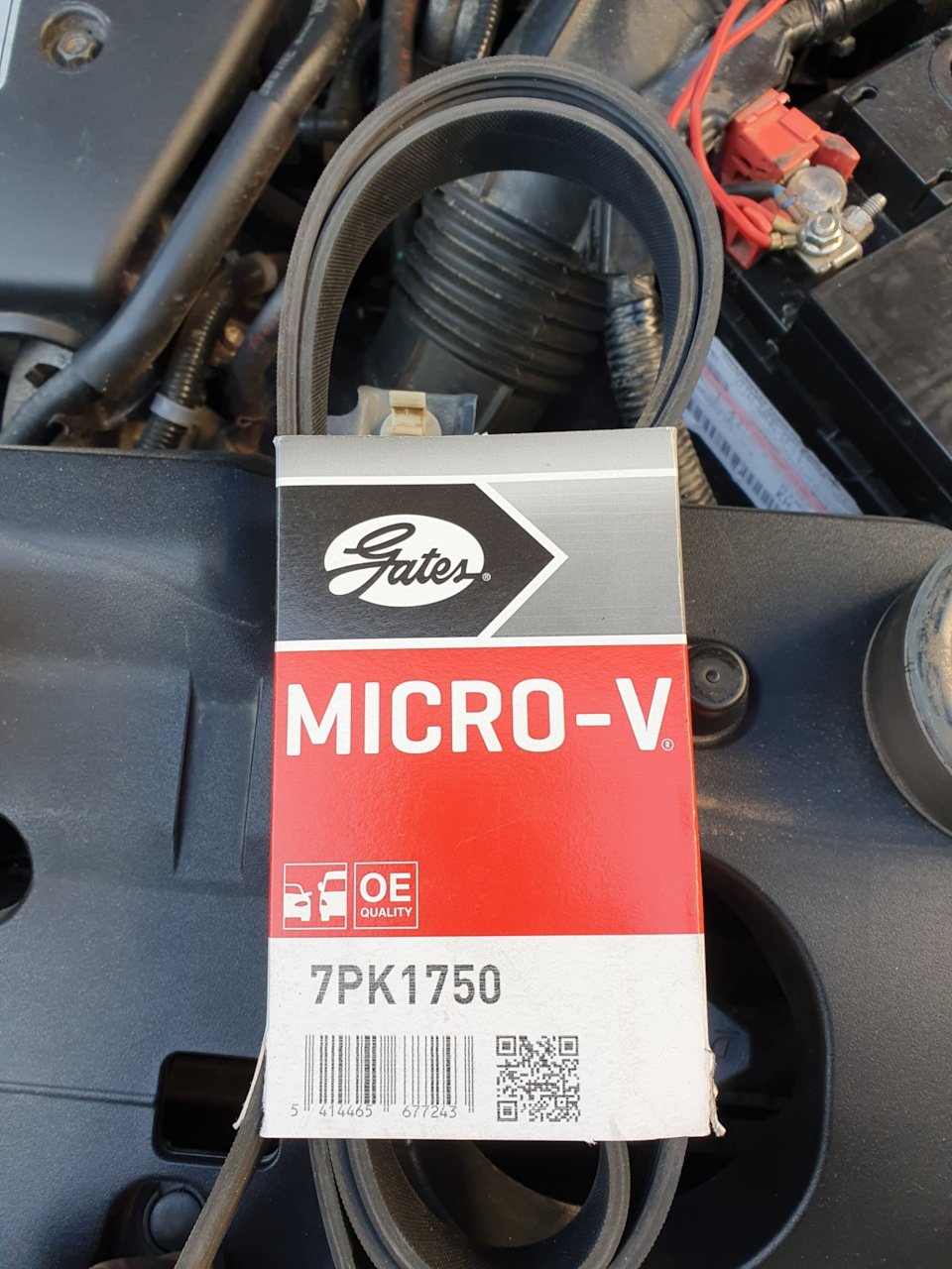 Полинковий струмковий ремінь CR-V 2.4 4
