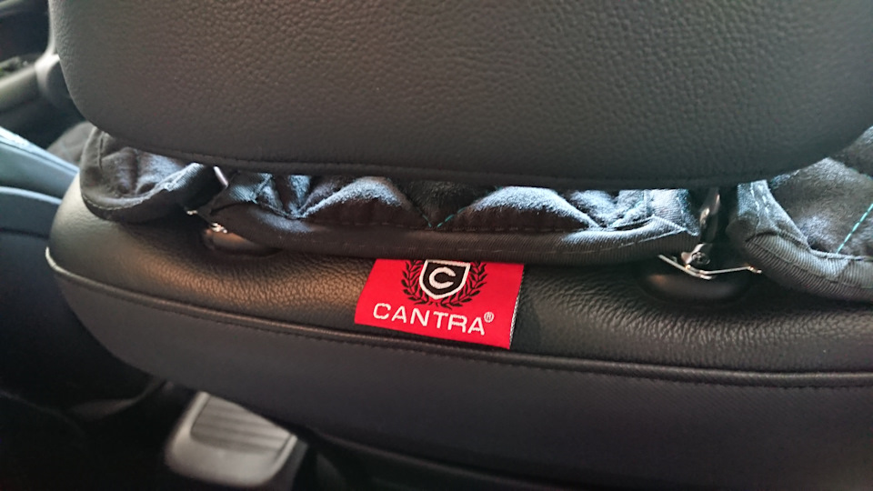 Cantra 3