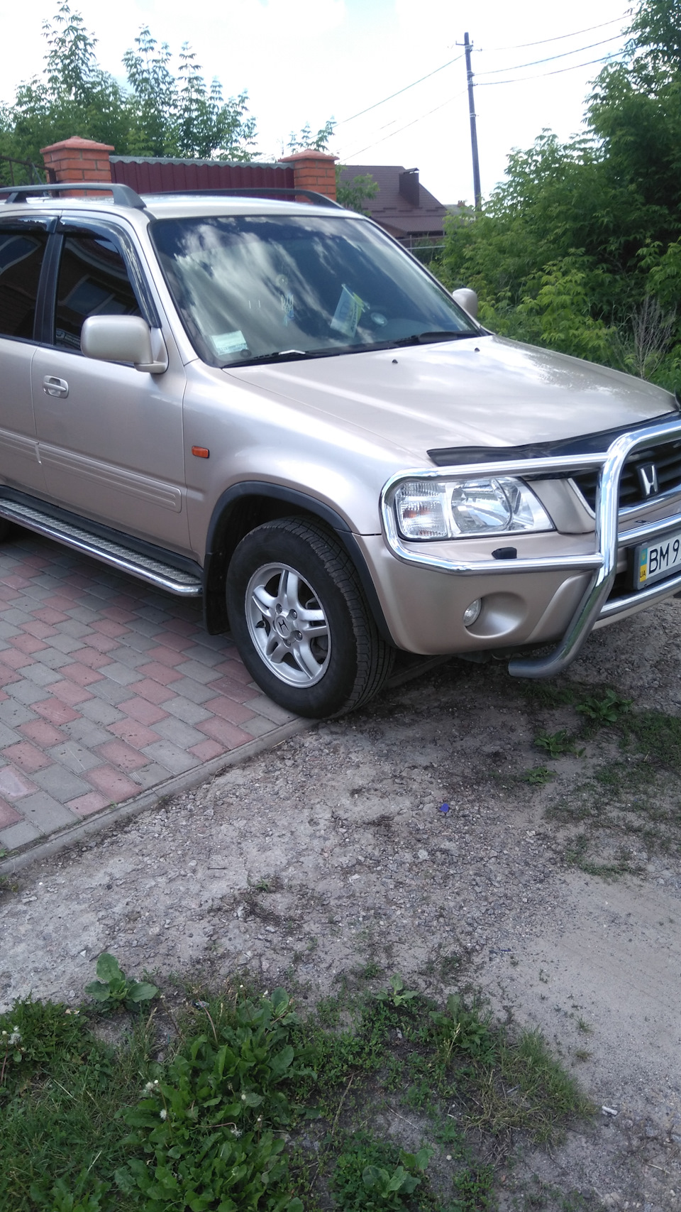 Підніжки 1