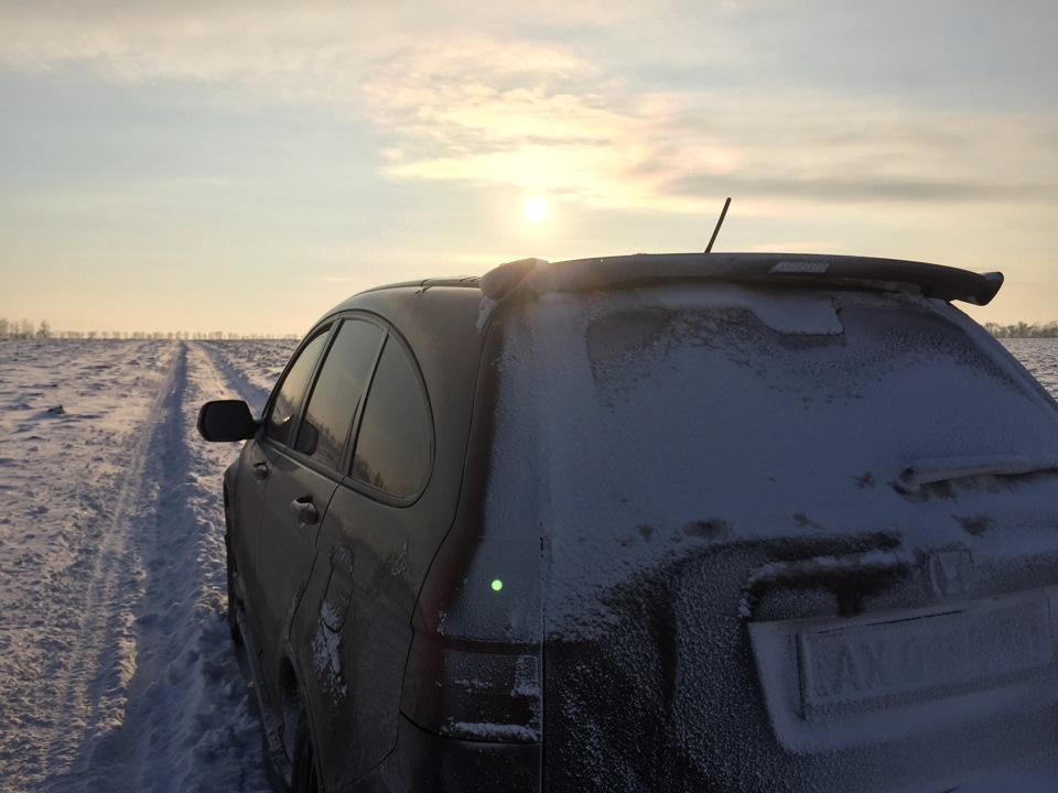 Фото в полі 5