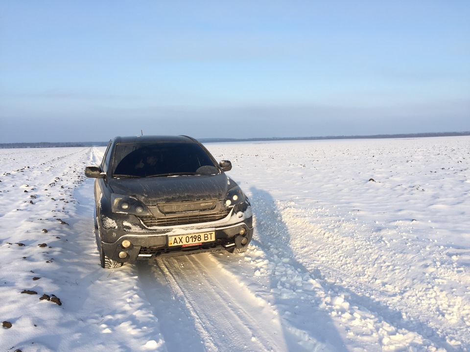Фото в полі 2