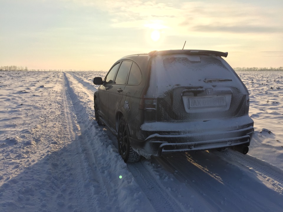Фото в полі 4