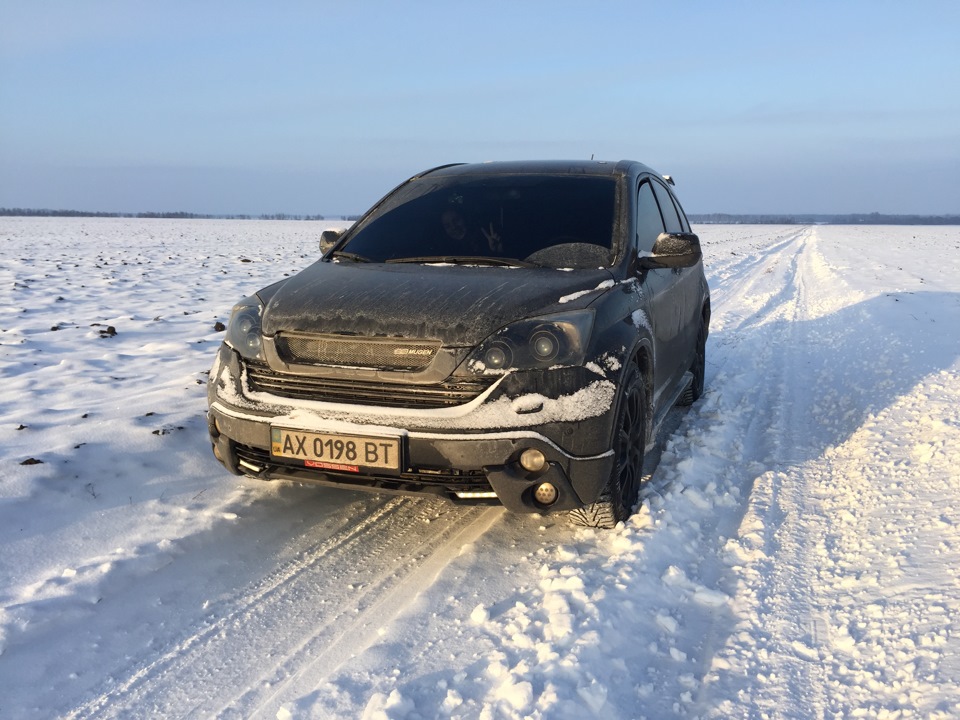 Фото в полі 1