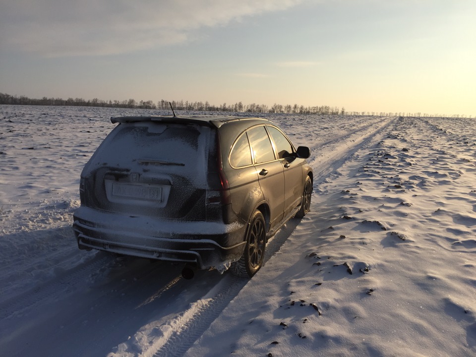 Фото в полі 3