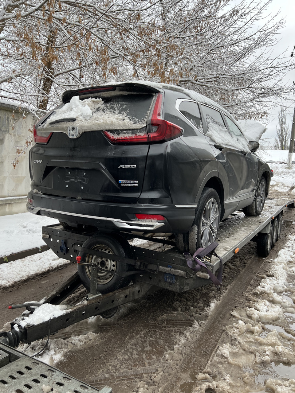 Приїхала 19.11 2