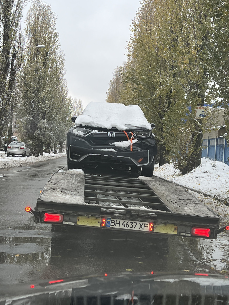 Приїхала 19.11 3