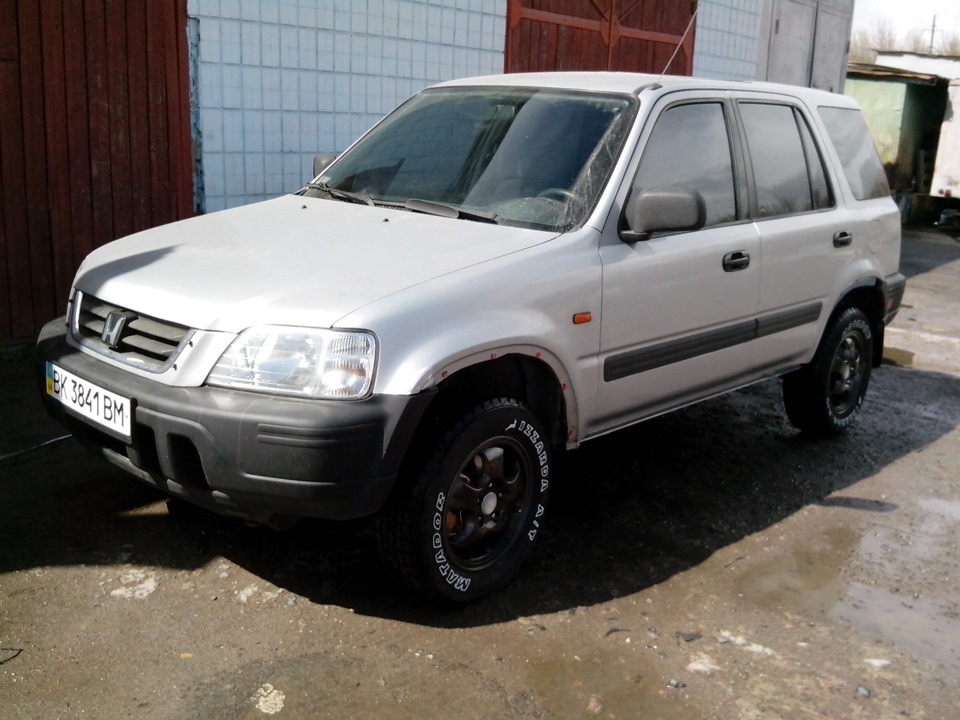 Тапки для лапки 5